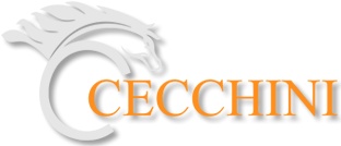 Logo Cecchini